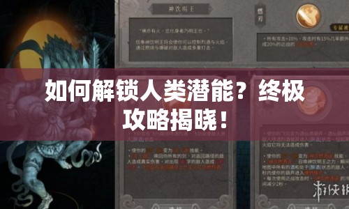 如何解鎖人類潛能？終極攻略揭曉！