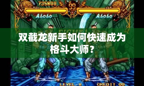 雙截龍新手如何快速成為格斗大師？