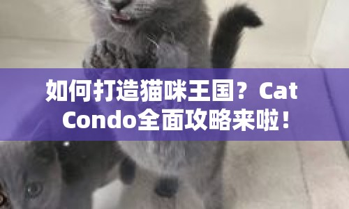 如何打造貓咪王國？Cat Condo全面攻略來啦！
