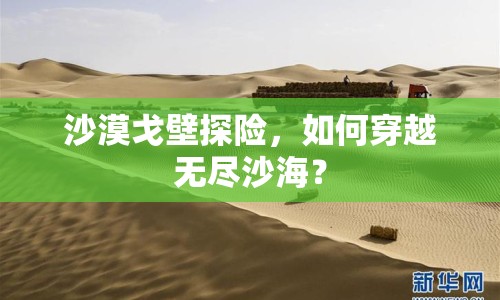 沙漠戈壁探險，如何穿越無盡沙海？