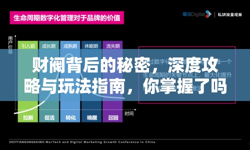 財(cái)閥背后的秘密，深度攻略與玩法指南，你掌握了嗎？