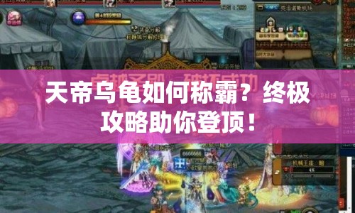 天帝烏龜如何稱霸？終極攻略助你登頂！