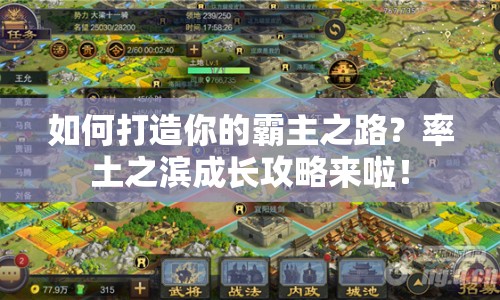 如何打造你的霸主之路？率土之濱成長攻略來啦！