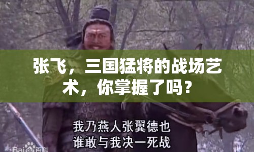張飛，三國猛將的戰(zhàn)場藝術(shù)，你掌握了嗎？