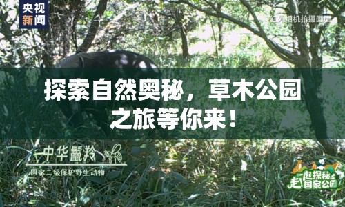 探索自然奧秘，草木公園之旅等你來！