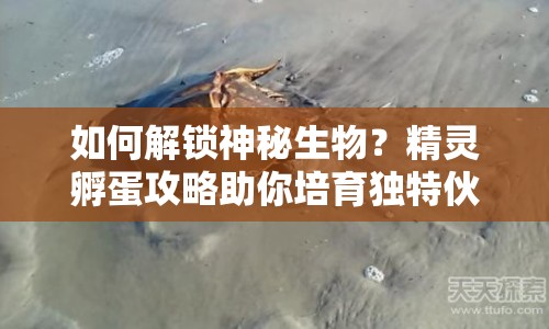 如何解鎖神秘生物？精靈孵蛋攻略助你培育獨特伙伴！