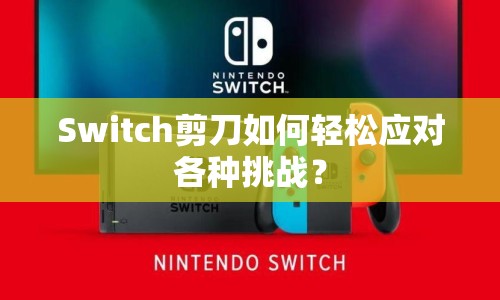 Switch剪刀如何輕松應(yīng)對(duì)各種挑戰(zhàn)？