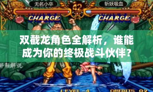 雙截龍角色全解析，誰能成為你的終極戰(zhàn)斗伙伴？
