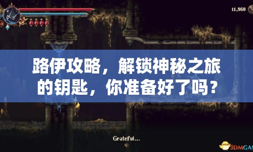 路伊攻略，解鎖神秘之旅的鑰匙，你準(zhǔn)備好了嗎？