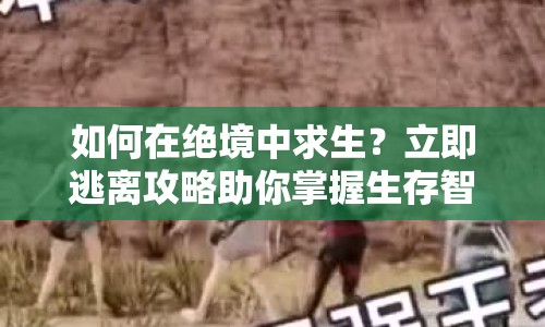 如何在絕境中求生？立即逃離攻略助你掌握生存智慧！