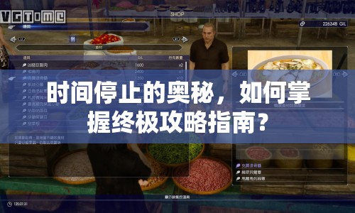 時(shí)間停止的奧秘，如何掌握終極攻略指南？
