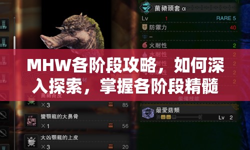 MHW各階段攻略，如何深入探索，掌握各階段精髓？