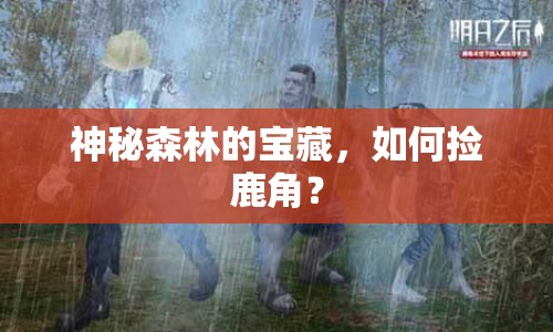 神秘森林的寶藏，如何撿鹿角？
