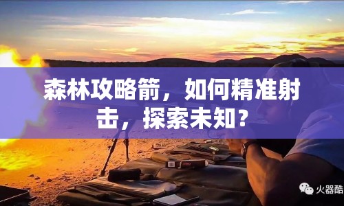 森林攻略箭，如何精準(zhǔn)射擊，探索未知？