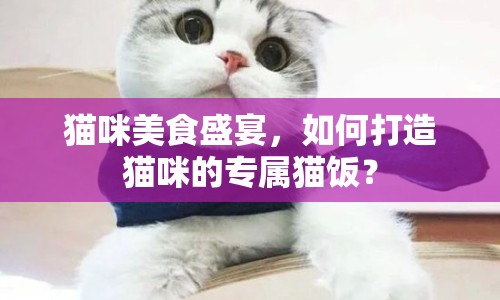 貓咪美食盛宴，如何打造貓咪的專屬貓飯？