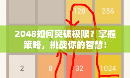 2048如何突破極限？掌握策略，挑戰(zhàn)你的智慧！