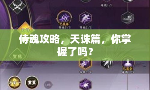 侍魂攻略，天誅篇，你掌握了嗎？