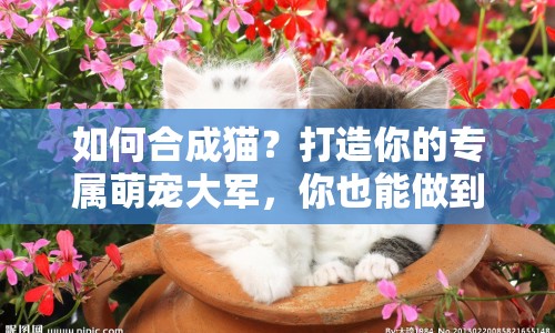 如何合成貓？打造你的專屬萌寵大軍，你也能做到！