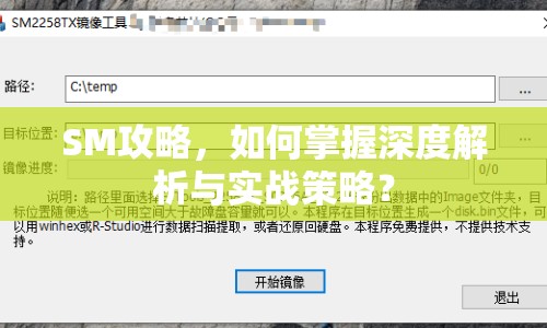 SM攻略，如何掌握深度解析與實(shí)戰(zhàn)策略？
