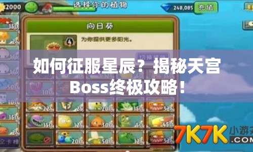 如何征服星辰？揭秘天宮Boss終極攻略！