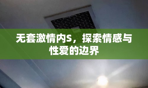無套激情內(nèi)S，探索情感與性愛的邊界