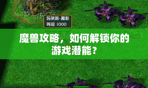 魔獸攻略，如何解鎖你的游戲潛能？