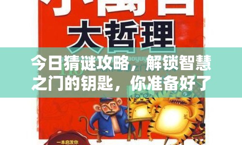 今日猜謎攻略，解鎖智慧之門(mén)的鑰匙，你準(zhǔn)備好了嗎？