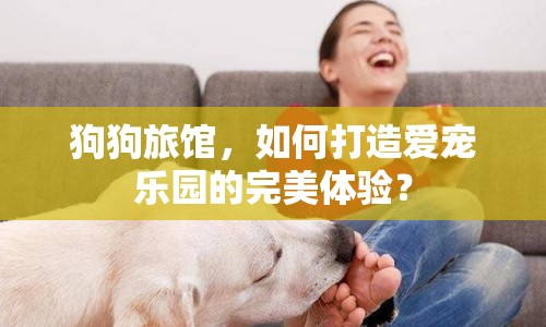 狗狗旅館，如何打造愛寵樂園的完美體驗(yàn)？