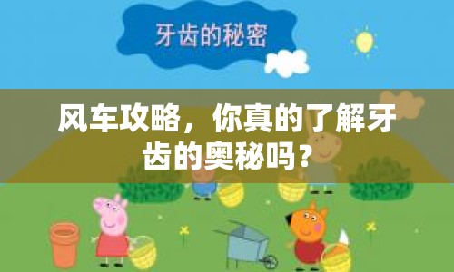 風(fēng)車攻略，你真的了解牙齒的奧秘嗎？