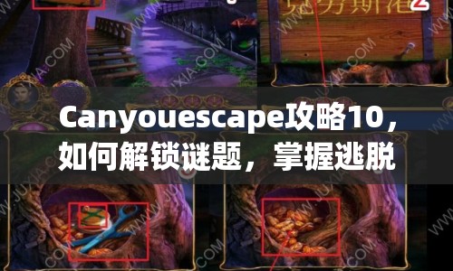 Canyouescape攻略10，如何解鎖謎題，掌握逃脫的藝術(shù)？