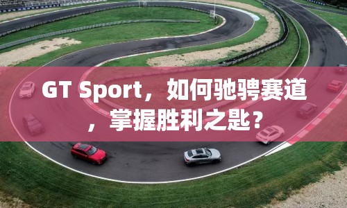GT Sport，如何馳騁賽道，掌握勝利之匙？