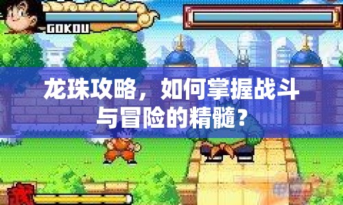 龍珠攻略，如何掌握戰(zhàn)斗與冒險(xiǎn)的精髓？