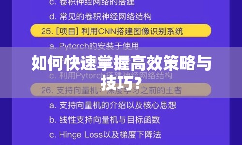 如何快速掌握高效策略與技巧？