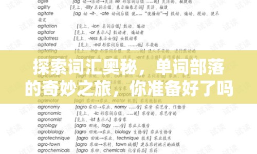 探索詞匯奧秘，單詞部落的奇妙之旅，你準(zhǔn)備好了嗎？