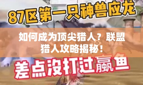 如何成為頂尖獵人？聯(lián)盟獵人攻略揭秘！