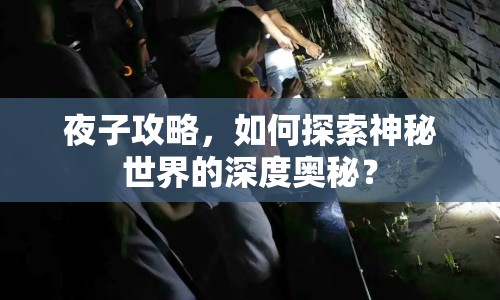 夜子攻略，如何探索神秘世界的深度奧秘？
