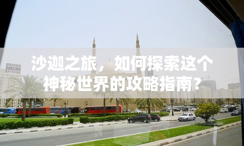 沙迦之旅，如何探索這個(gè)神秘世界的攻略指南？