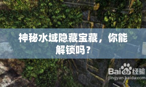 神秘水域隱藏寶藏，你能解鎖嗎？