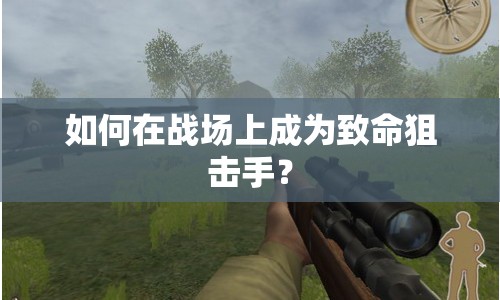 如何在戰(zhàn)場上成為致命狙擊手？