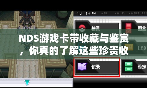 NDS游戲卡帶收藏與鑒賞，你真的了解這些珍貴收藏嗎？