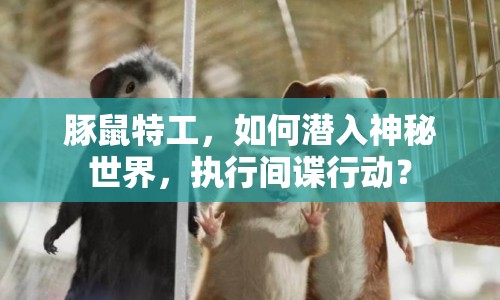豚鼠特工，如何潛入神秘世界，執(zhí)行間諜行動(dòng)？