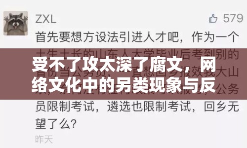 受不了攻太深了腐文，網(wǎng)絡(luò)文化中的另類現(xiàn)象與反思