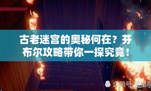 古老迷宮的奧秘何在？芬布爾攻略帶你一探究竟！