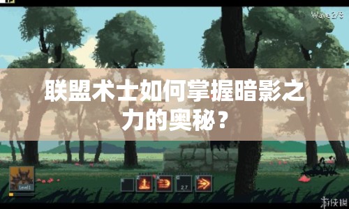 聯(lián)盟術(shù)士如何掌握暗影之力的奧秘？