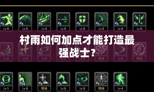 村雨如何加點(diǎn)才能打造最強(qiáng)戰(zhàn)士？