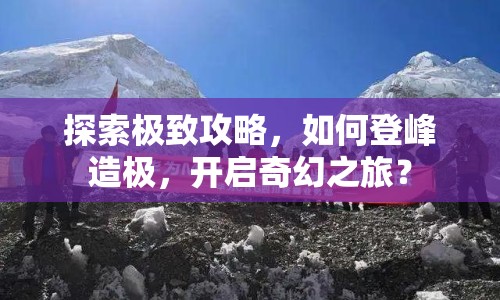 探索極致攻略，如何登峰造極，開啟奇幻之旅？