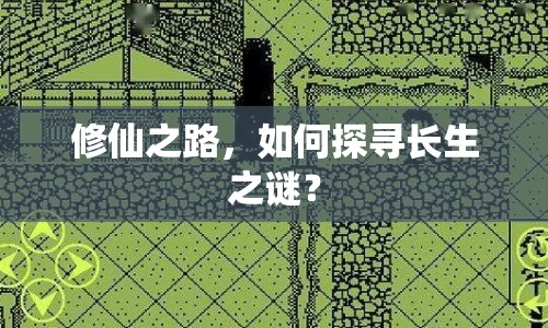 修仙之路，如何探尋長生之謎？