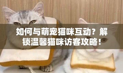 如何與萌寵貓咪互動(dòng)？解鎖溫馨貓咪訪客攻略！