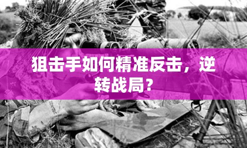 狙擊手如何精準(zhǔn)反擊，逆轉(zhuǎn)戰(zhàn)局？