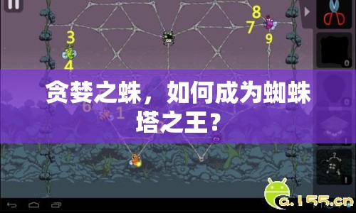 貪婪之蛛，如何成為蜘蛛塔之王？